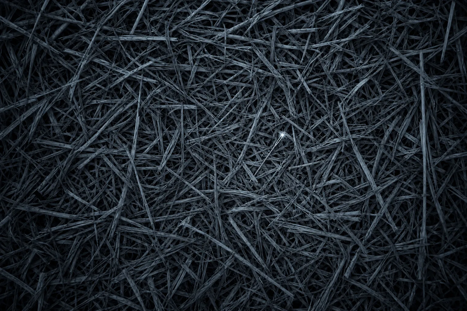A single needle glinting in a vast dark field of straw.
